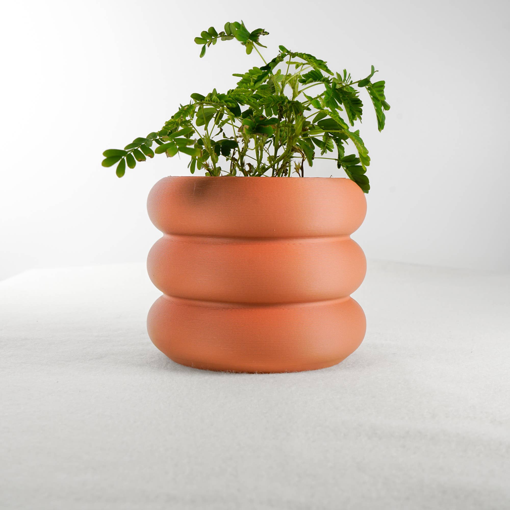 3D Printed Bubble Planters
