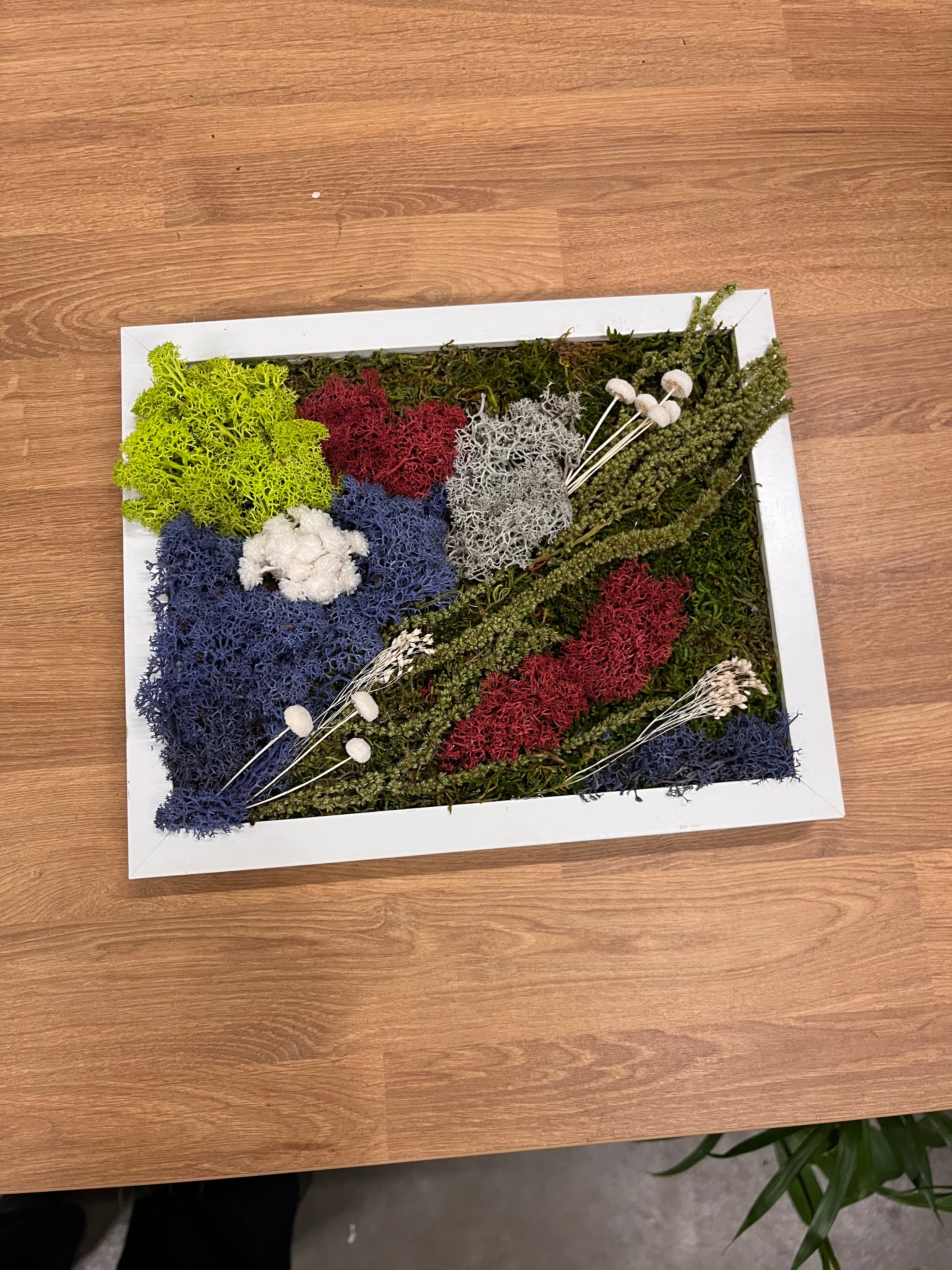 Moss Art Workshop