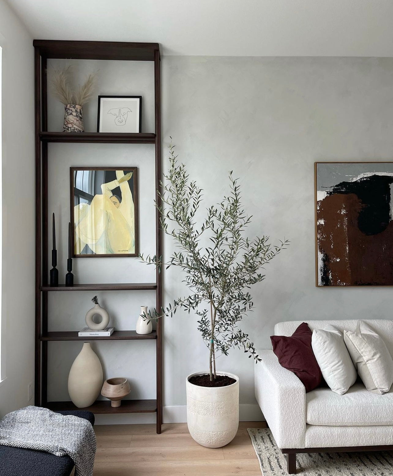 Olive Tree - Olea Europaea