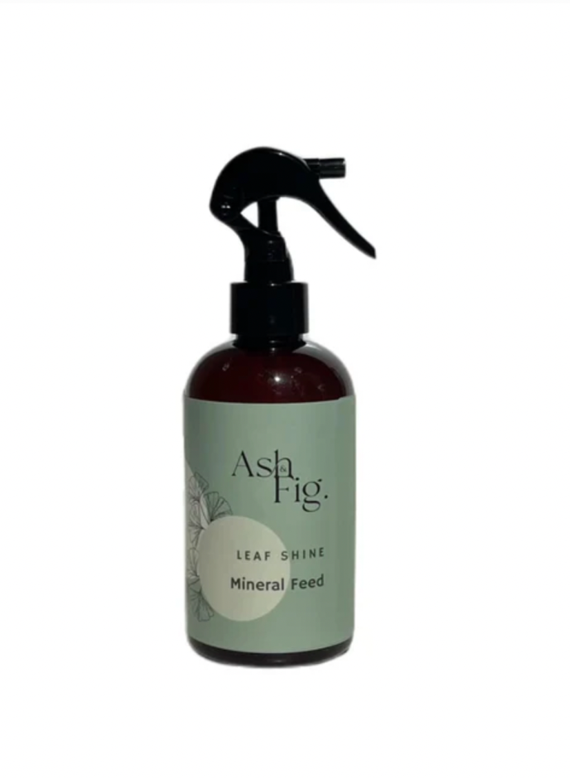 Ash & Fig Leaf Shine