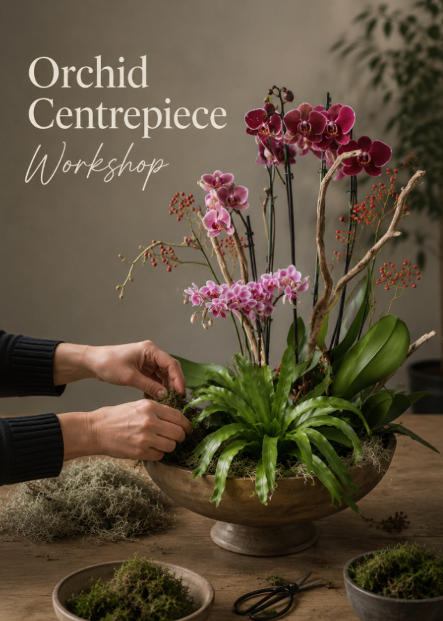 Orchid Centrepiece Workshop
