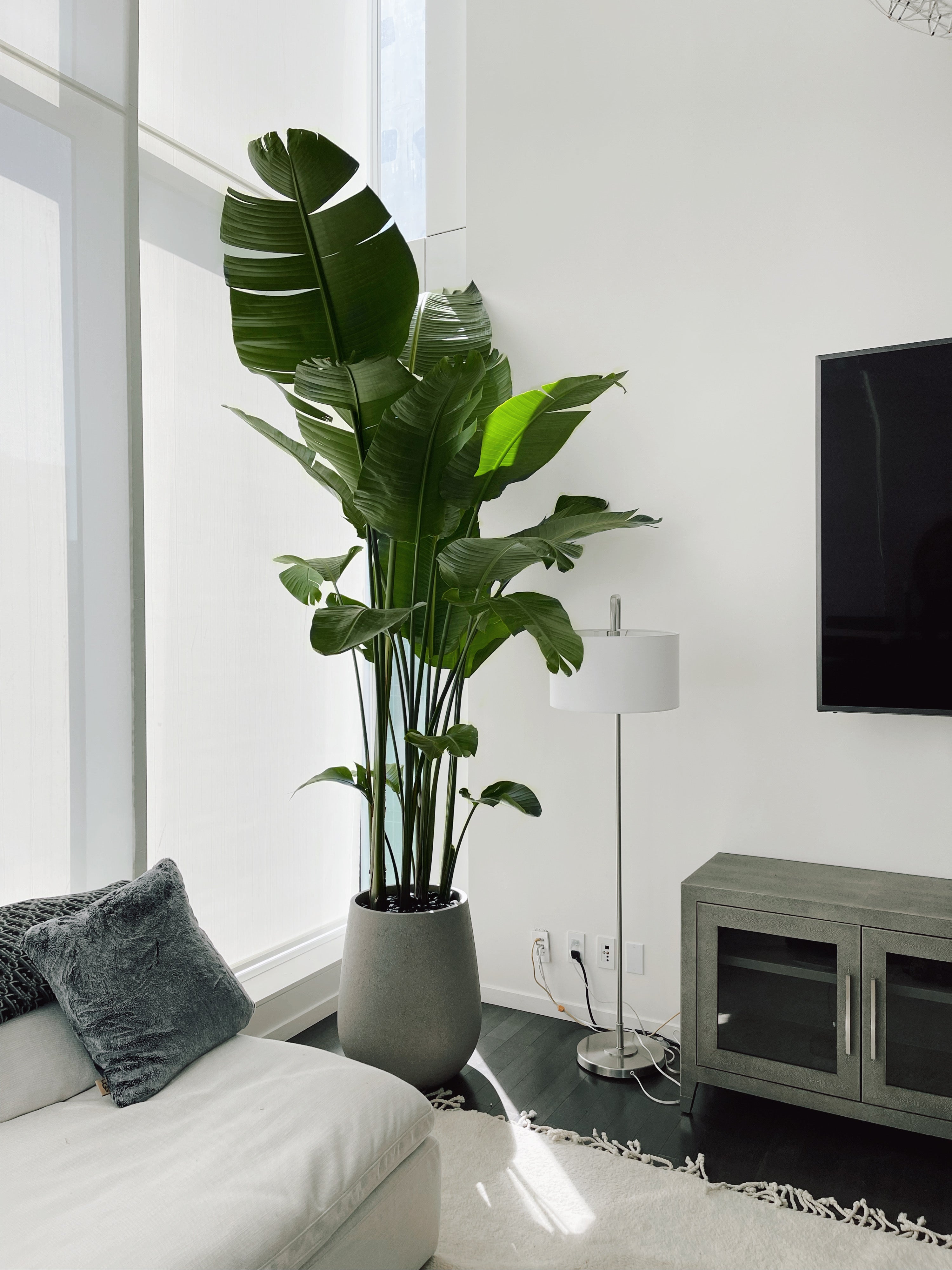 Oslo Fiberglass Planter
