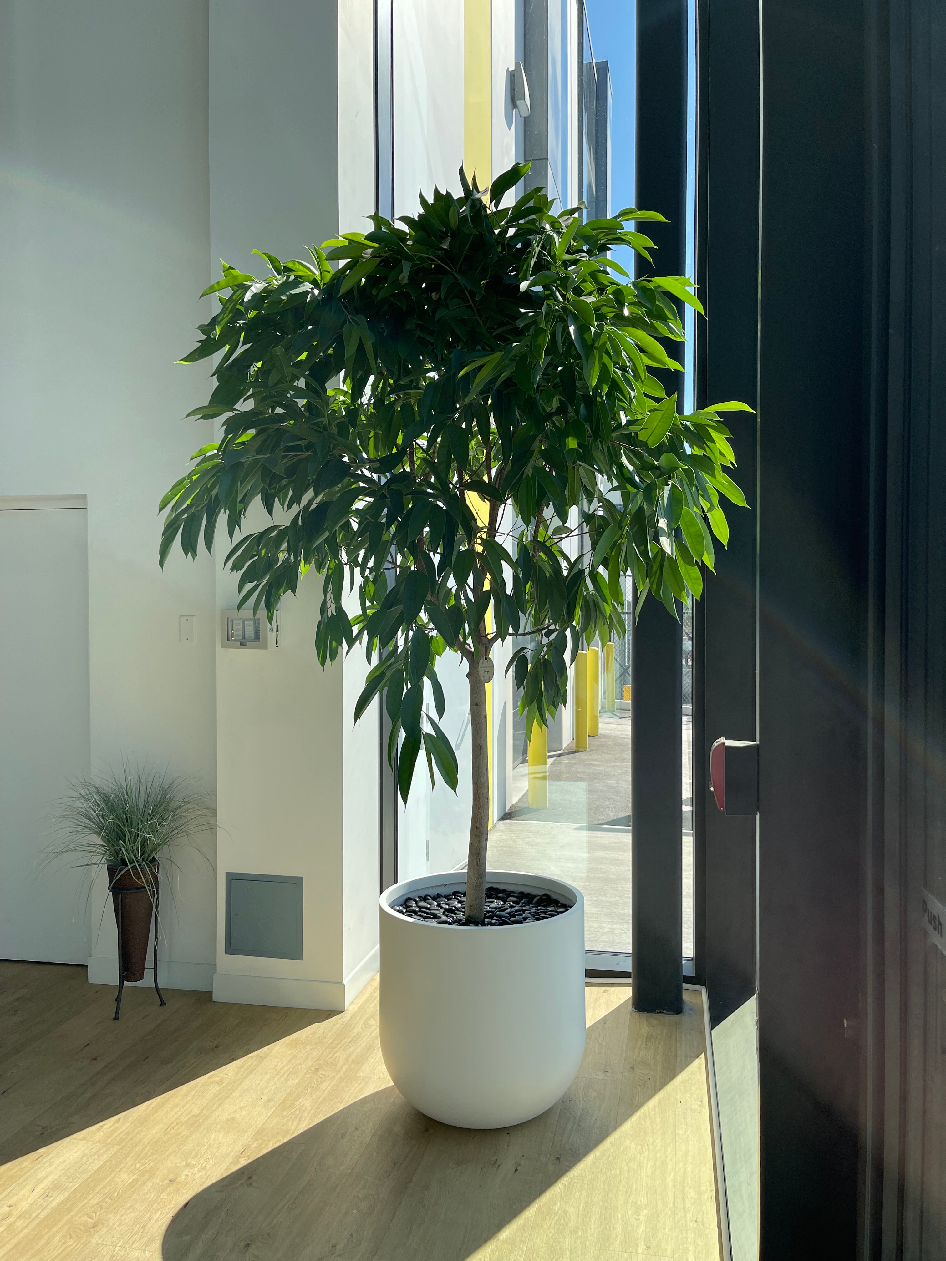 Alto Fiberglass Planter