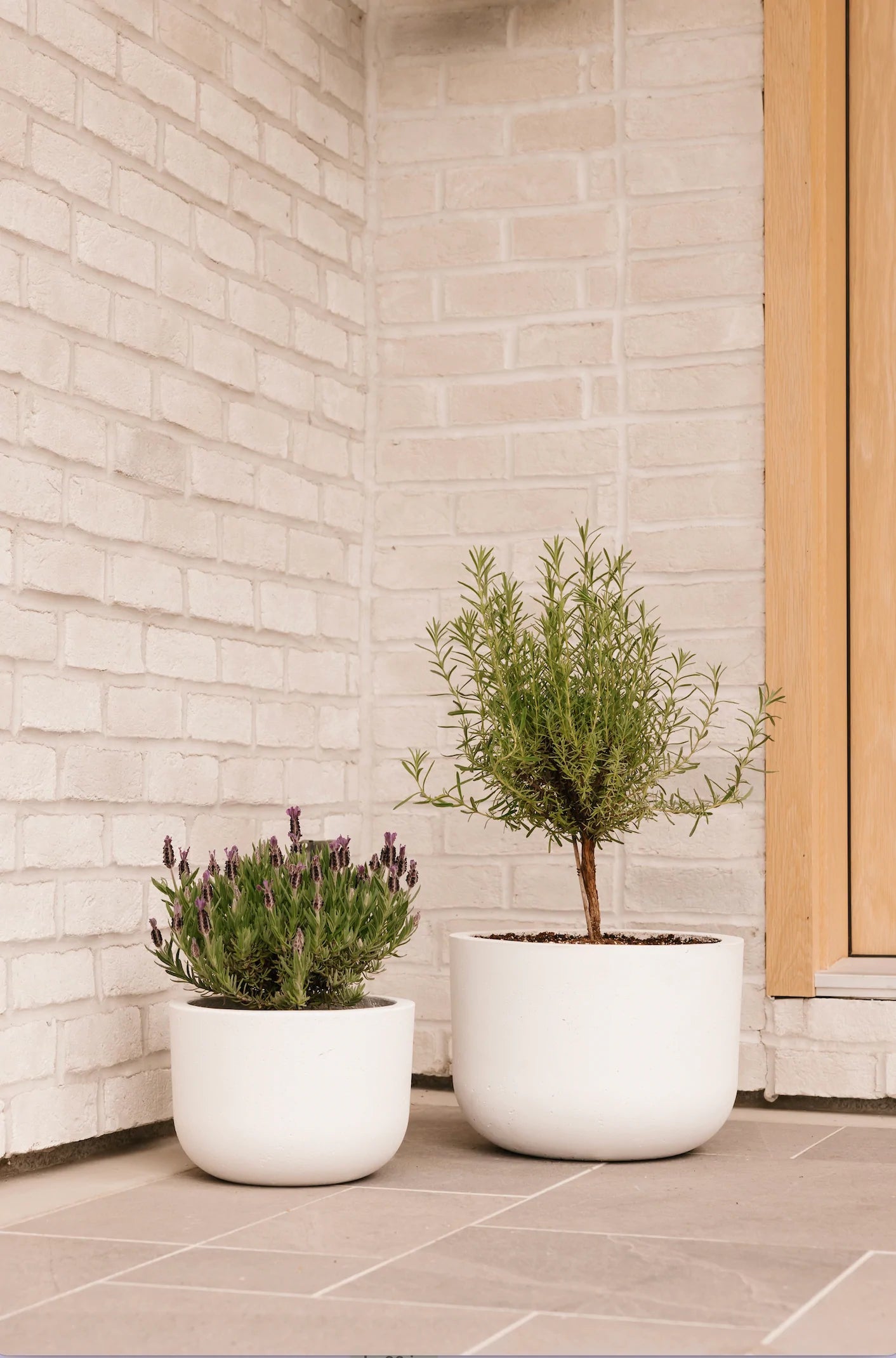 Fiberstone planter