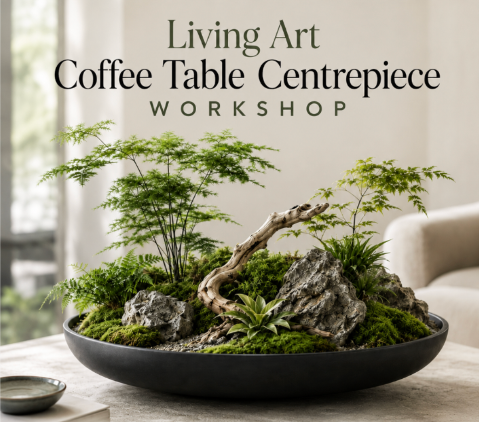 Living Art: Coffee Table Centrepiece Workshop