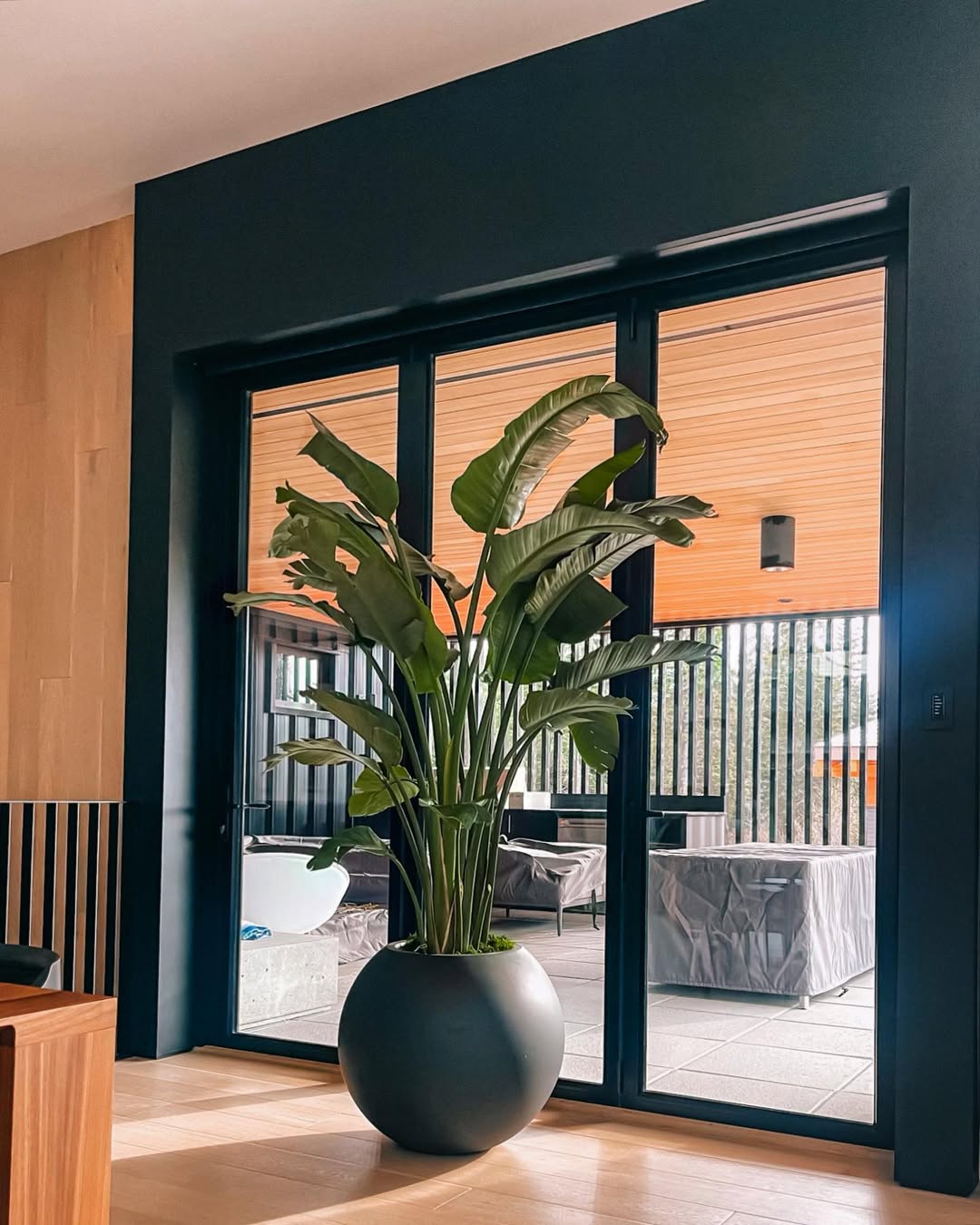 Plant installation consultation